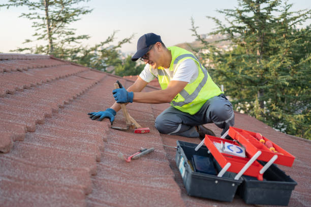 Best Metal Roofing Contractor  in Dayton, OH